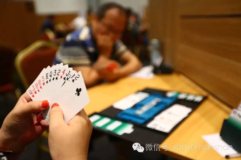 海南桥牌：一场充满智慧与欢乐的棋艺盛宴
